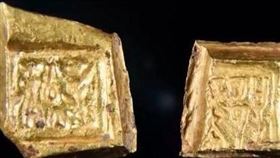 金幣（翻攝自花海文心微博）