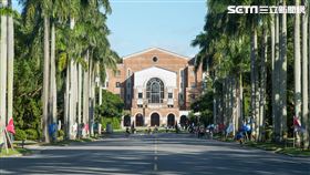 台大／台灣大學／椰林大道／台大圖書館（記者陳弋攝影）