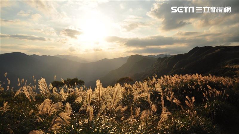 玩吃！草嶺古道銀芒閃、貢寮鮑正肥美