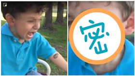 青蛙,男孩（圖／翻攝自《riah》推特）