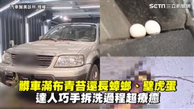 髒車滿布青苔還長蟑螂、壁虎蛋　達人巧手拆洗過程超療癒