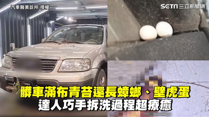 髒車長青苔、蟑螂　達人拆洗過程療癒