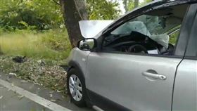 嘉義,車禍,死亡,自撞電線桿