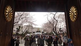 平成最後賞櫻　遊客湧至皇居附近日皇明仁4月30日退位，目前年號「平成」的時代將結束，所以這波櫻花季被稱為「平成最後花見（賞櫻）」。與皇室有關的符號，像是菊花紋受注目。圖為靖國神社的大門。中央社記者楊明珠東京攝　108年3月29日