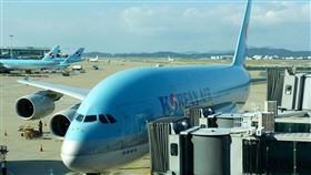 南韓,大韓航空,旅客（圖／翻攝自Pixabay）