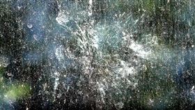 動物園為了改善鳥類窗殺問題，增設防止鳥類誤撞的「友善鳥類窗貼」。（圖／台北市立動物園提供）