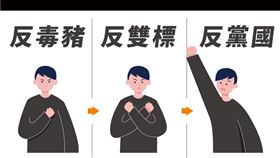 國民黨反黨國手勢（圖／翻攝自林為洲臉書）