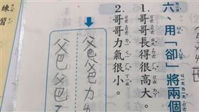 學生,作業,爸爸,鳥鳥,老師,國小,秘密