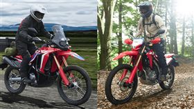 ▲Honda CRF300 RALLY、CRF300L（圖／Honda提供）