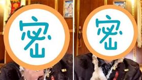  扎西丁真透露，自己不想當明星，只想成為賽馬王子。（圖／翻攝自微博／四川觀察）