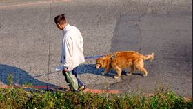 遛狗
https://www.flickr.com/photos/137596559@N07/49194392213/in/photolist-2hX97U6-RuwARR-2j76GVE-2fG8XKD-2hXoo8E-25pirhf-2hXrXmS-qcLXr-qcLXo-qGY65A