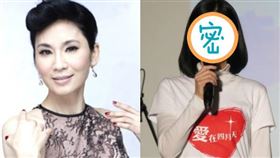 葉歡。（圖／翻攝自鳳凰藝能、葉歡臉書）