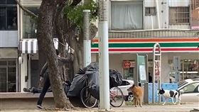 火爆男子當街持棍朝街友作勢揮打。（圖／翻攝畫面）