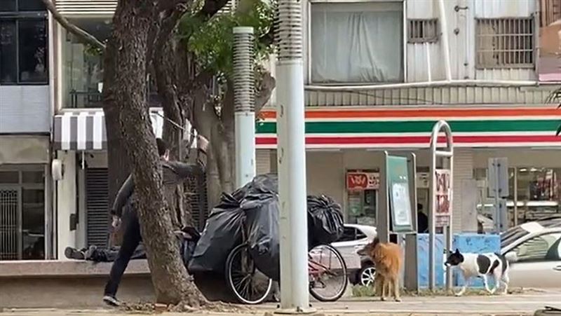 揮杖攻擊流浪狗　台中奧迪男回應了