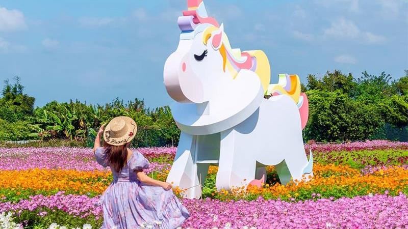 花彩節最終場　加碼雪白芒花超浪漫！