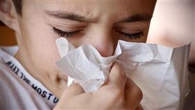 隱性鼻過敏 打噴嚏(圖／翻攝自Pixabay)