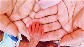 竹北,東元醫院,巴掌仙子,早產兒,世界早產兒日