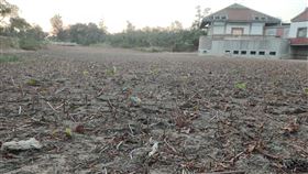 金門水情吃緊　籲民眾共同抗旱省水（1）金門縣自來水廠16日表示，統計到11月初，金門地區今年降雨量僅只有446毫米，評估全島13座湖庫目前蓄水量僅總量的一半，呼籲民眾一起省水抗旱。（民眾提供）中央社記者黃慧敏傳真　109年11月16日