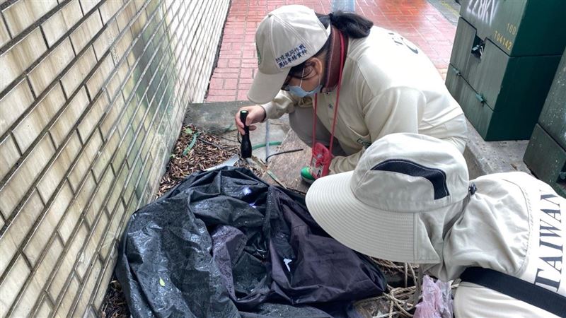 又1例本土登革熱　研判為龍華里群聚