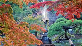 東京日比谷公園雲形池　銀杏紅楓倒映東京日比谷公園內有一座雲形池，池中的鶴噴水銅雕是日本現存第3古老的噴水座，歷史逾百年。每到秋天池畔銀杏、紅楓倒映池水，景色絕美。中央社記者楊明珠東京攝　109年11月17日