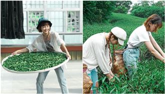 挑戰茶藝!李懿帶樂天女孩當採茶姑娘