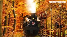 超限定行程！達人、大師帶路　阿里山國寶蒸汽火車出巡賞楓（圖／雄獅旅遊提供）