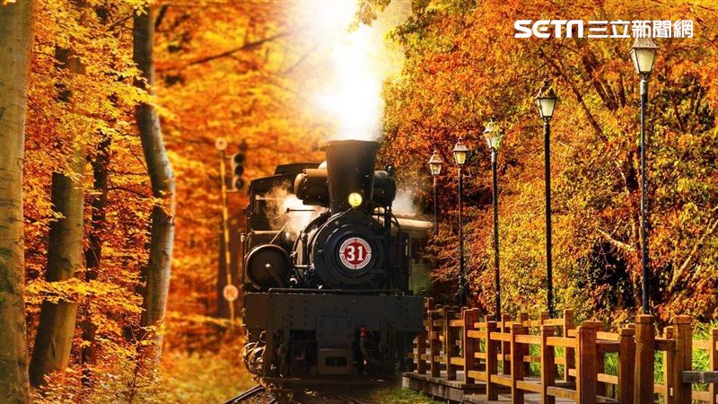 達人帶路　搭阿里山國寶蒸汽火車賞楓