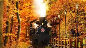 超限定行程！媲美日本楓紅，阿里山國寶蒸汽火車出巡賞楓。（圖／雄獅提供）