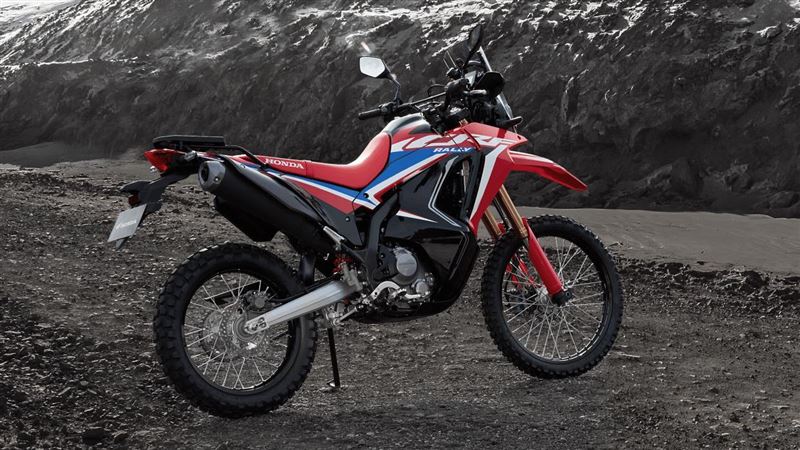 冒險玩家最愛　本田導入CRF300