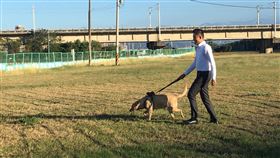 竹市優化狗狗公園　提供毛小孩多元寬敞跑跳空間新竹市政府今年優化狗狗公園，預計設置26組遊戲設施讓毛小孩使用，並增加夜間照明，市長林智堅18日前往視察表示，待年底完工後，將提供毛小孩們多元又寬敞的跑跳空間。中央社記者郭宣(文三)攝　109年11月18日