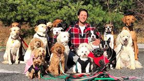 1次牽20隻毛小孩出門！為照顧愛犬　成為專業「遛狗員」