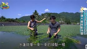 ▲（圖／擷自三立新聞網YT畫面）