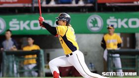 中信兄弟張志豪。（圖／記者林聖凱攝影）