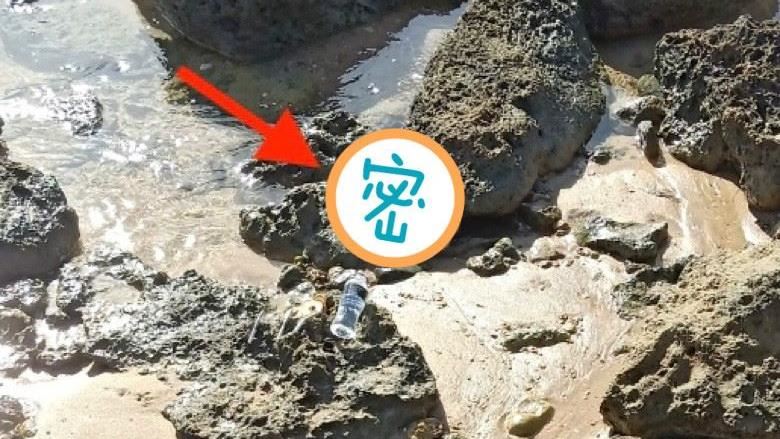 土地公入夢3次　夫妻海邊撿到骷髏頭