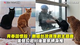 隔窗互動6年貓咪與大叔變麻吉　搬家前終於「面對面」感動網