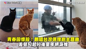 貓與大叔變麻吉　搬家前終見面感動網