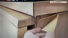 裝修蟑螂全台跑。（圖／住宅消保會提供）