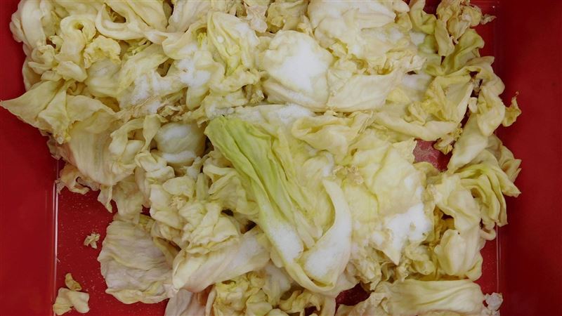 「國民天菜」曝曬加工　抗癌又美味