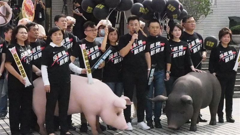 萊豬釋憲案出爐　民進黨嗆藍營別再亂