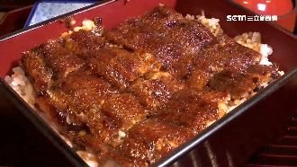 吃鰻魚最佳時機　鰻價狂跌餐廳擬降價