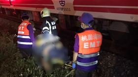 台鐵,普悠瑪,桃園車站,鶯歌車站,行人,死傷事故