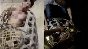 綠帽夫酒店抓姦！小王慘遭綑綁「浸豬籠」　24秒片曝光▲。（圖／翻攝自頭條新聞微博）