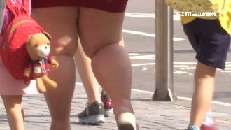 台肥胖率近48%　吃到飽一餐3千卡