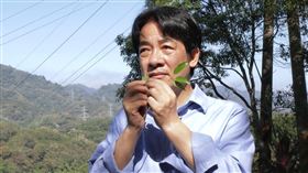 賴清德（總統府提供）