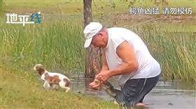 美國,佛羅里達,鱷魚,狗,大伯,救援（圖／翻攝自燃視頻）