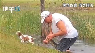 見小狗落水　大伯竟徒手掰開鱷魚嘴