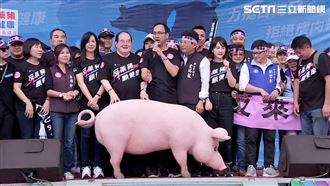 趙少康「吃萊豬」說　他怒：北七南救