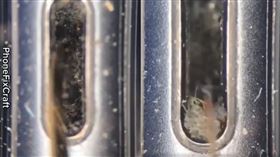 充電孔如手機「肚臍」　耳機藏噁黃垢（圖／翻攝自Phone Fix Craft臉書）