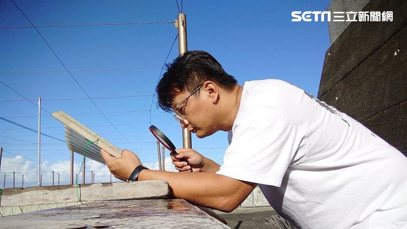 水溫降低5度　牠們怕死立刻排精排卵