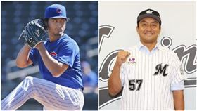 ▲小熊隊達比修、千葉羅德澤村拓一（圖／美聯社／達志影像、翻攝自千葉羅德推特)